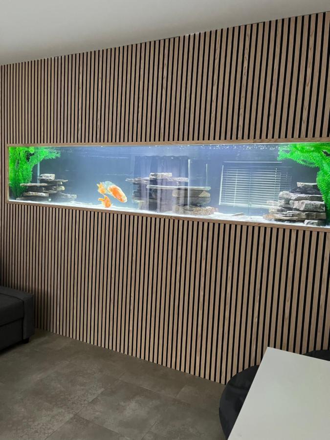 Terfyn Hall Aquarium Apartment 1 Prestatyn Eksteriør billede